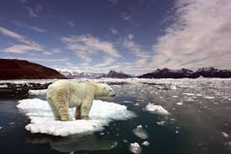 Breakthrough Research on Arctic Climate Change Published