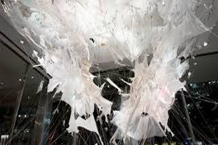 Toronto Art Gallery Hosts Record-Breaking Contemporary Exhibit